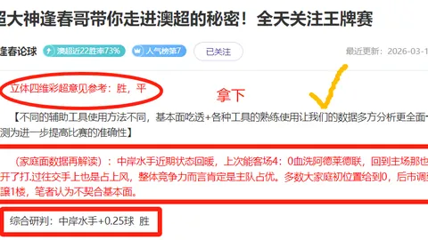 2026世界杯美加墨澳小组赛程详情